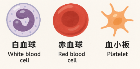 血液検査