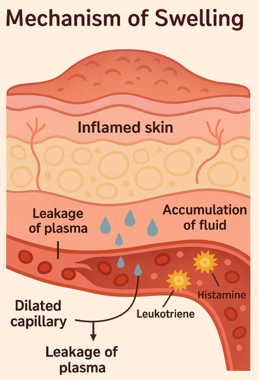日本橋で腫れを見れる皮膚科 0th CLINIC｜待ち時間ほぼなし