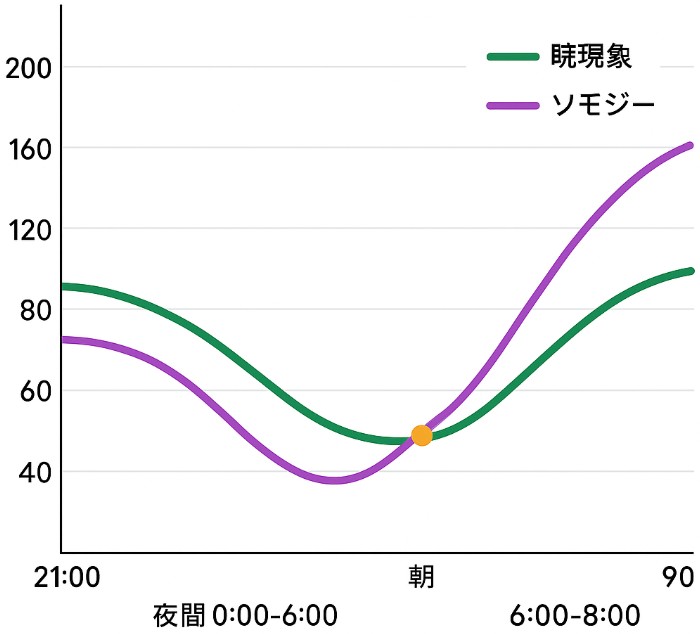 朝だけ血糖が高い…暁現象とソモジー現象の見分け方｜対処・受診の目安