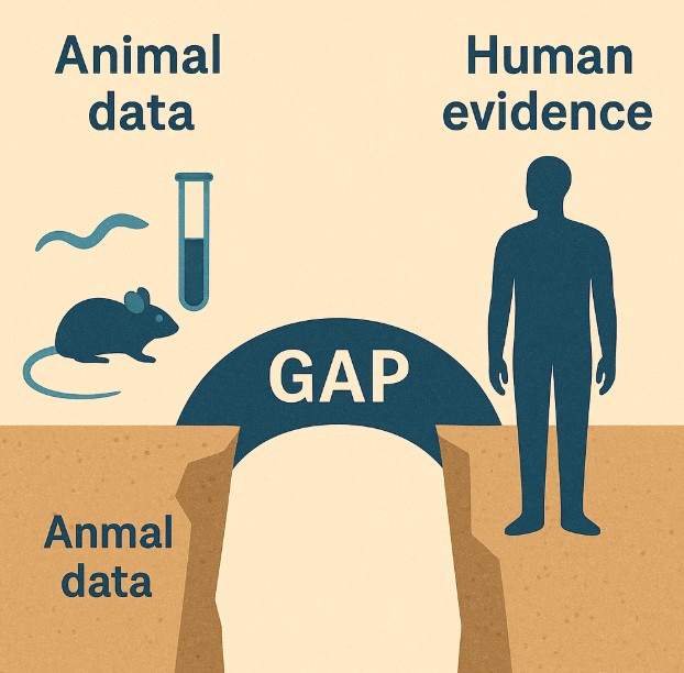 不老長寿・アンチエイジング総合ガイド｜老化の仕組みとエビデンスにもとづく対策