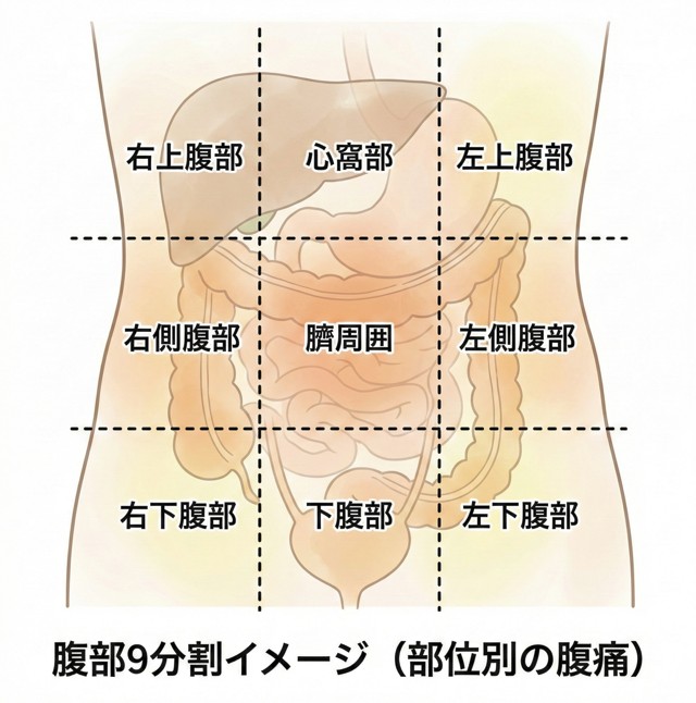 腹痛（お腹の痛み）